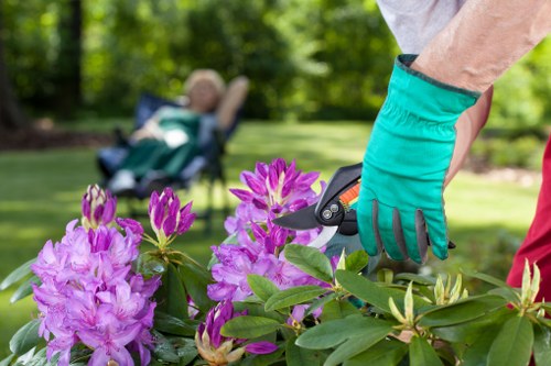 A person wearing teal gardening gloves is using pruning shears to trim vibrant pink and purple flowering shrubs in a well-maintained garden. The garden features a lush, green lawn in the foreground, with the flowering plants situated along the edge of a flower bed bordered by soil and small stones. In the background, there is a lawn area with a reclining garden chair under a leafy tree, suggesting a peaceful outdoor space in Yiewsley. The scene is set on a bright, sunny day with natural light illuminating the foliage, highlighting the textures of the leaves and blossoms. This image reflects professional gardening and hedge trimming activities typical of services offered by Hedge Trimming Yiewsley, emphasizing the care and maintenance of landscaped outdoor spaces in the local area, including garden pruning, shrub management, and outdoor garden upkeep.
