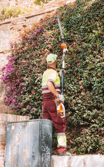A gardener wearing a high-visibility vest, maroon pants, and a beige cap is trimming a large bush with dense green foliage and clusters of small pink and purple flowers using an electric hedge trimmer