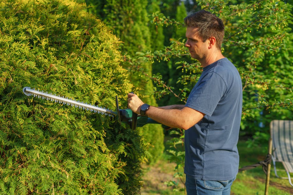 A gardener wearing a high-visibility vest, maroon pants, and a beige cap is trimming a large bush with dense green foliage and clusters of small pink and purple flowers using an electric hedge trimmer